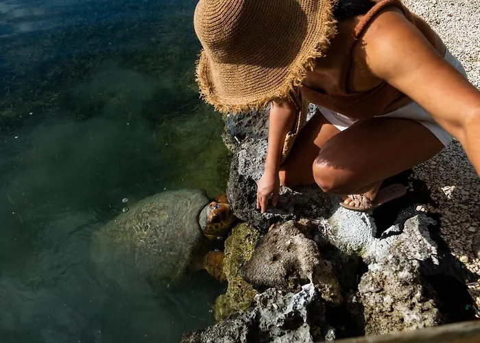 Turtle Island
