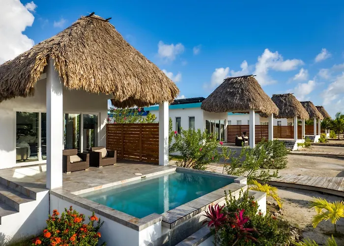 Turtle Island 3*
